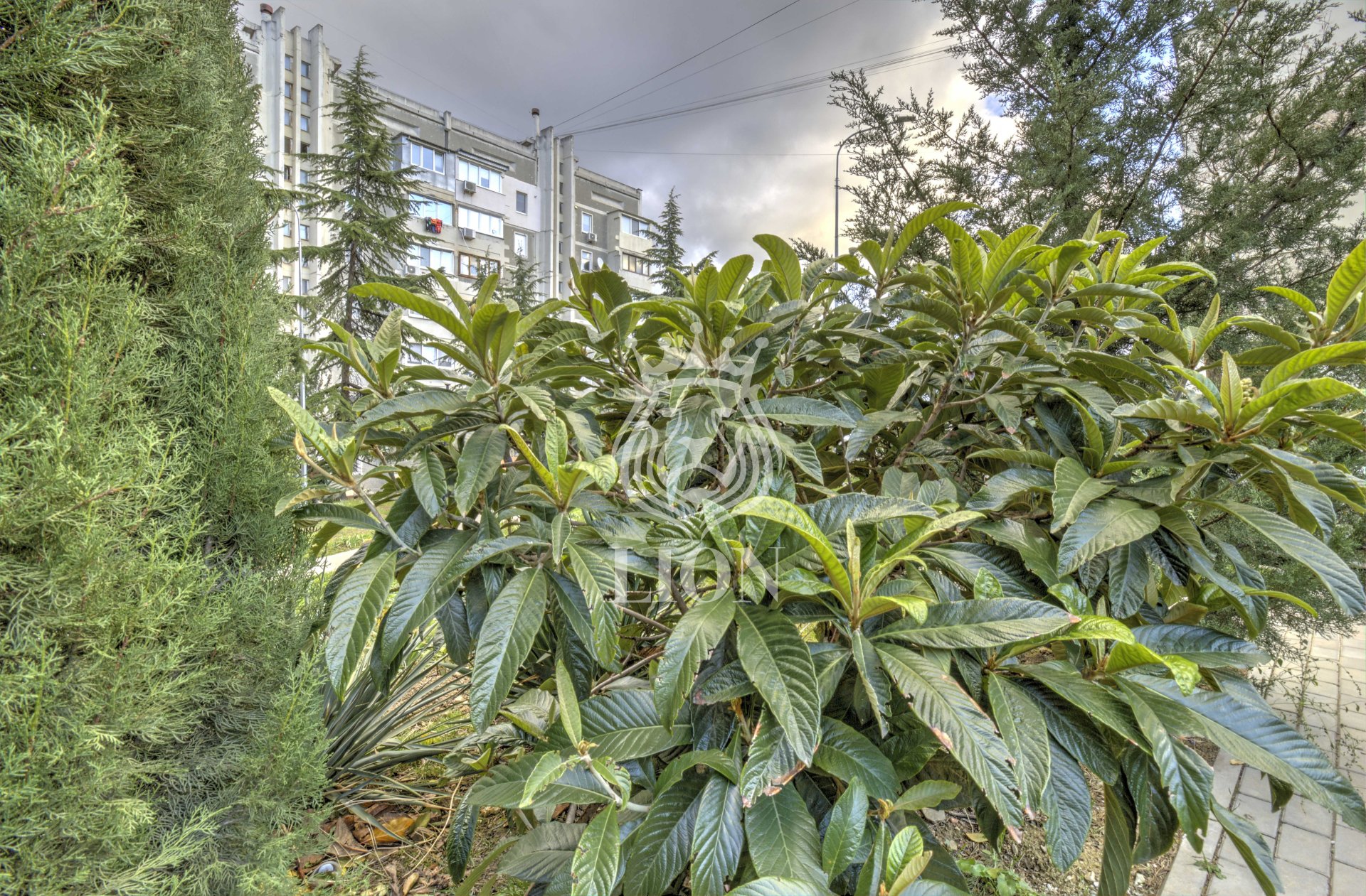 4-к квартира 99.7 м² 2/9 эт., 60 лет СССР — фото 56