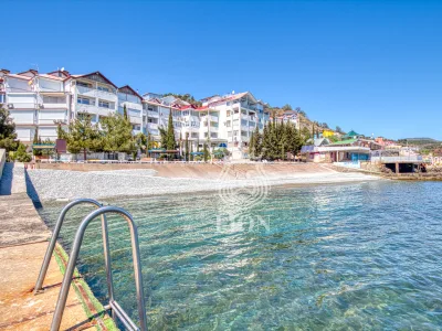 2-к апартаменты 54.1 м² 2/4 эт., мкр. Дельфин — миниатюра 26