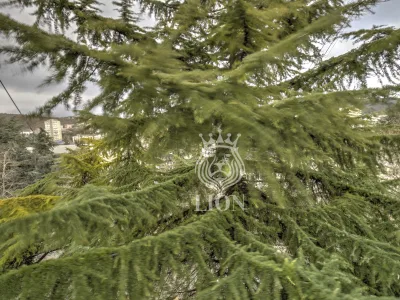 3-к квартира 54.9 м² 4/5 эт., Ленина — миниатюра 14