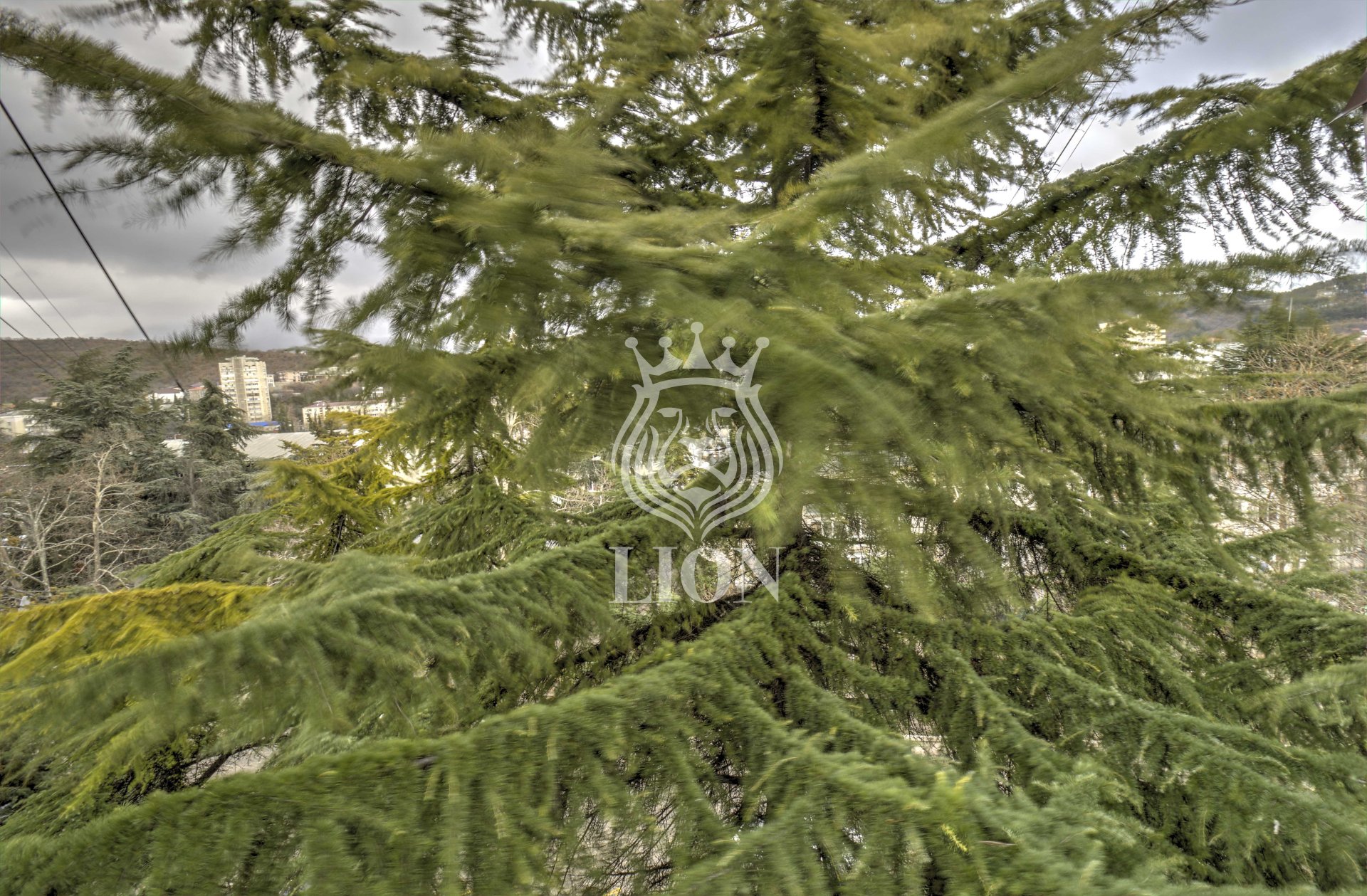 3-к квартира 54.9 м² 4/5 эт., Ленина — фото 14