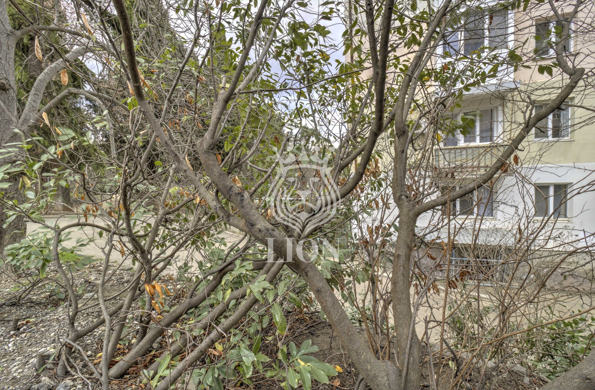 3-к квартира 54.9 м² 4/5 эт., Ленина — фото 32