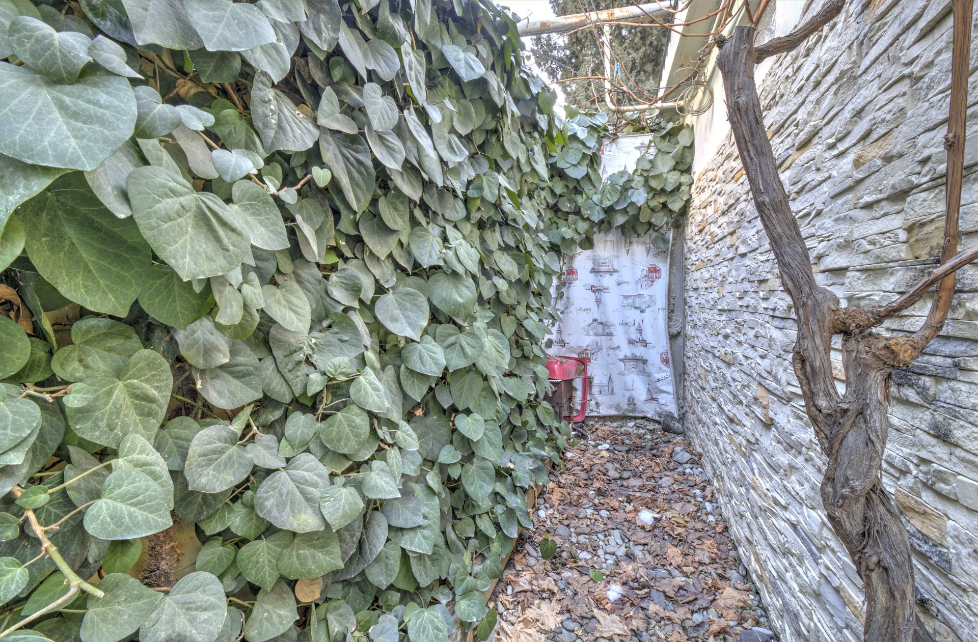 2-к квартира 57 м² 1/2 эт., Пуцатова — фото 34