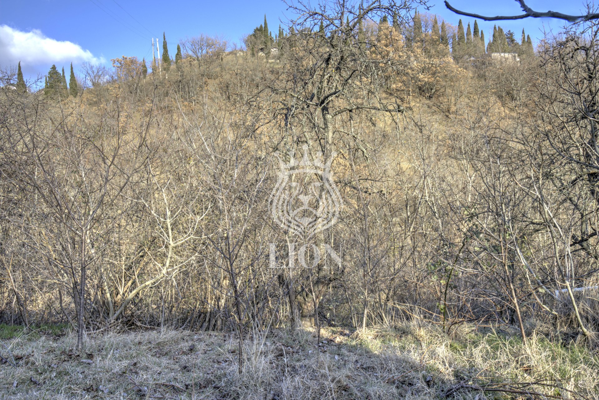 Участок 5 сот. ИЖС, Изобильное — фото 2