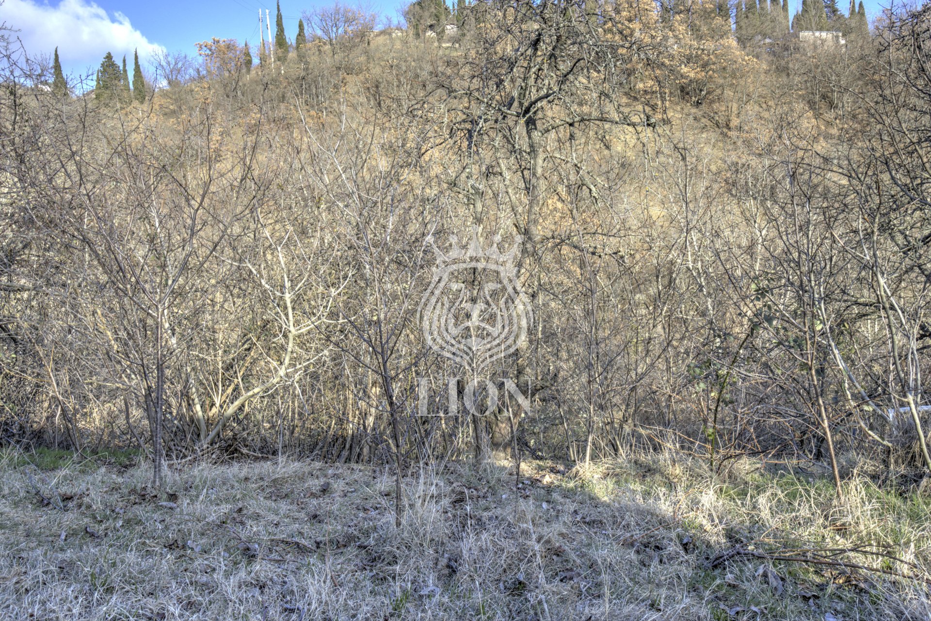 Участок 5 сот. ИЖС, Изобильное — фото 3