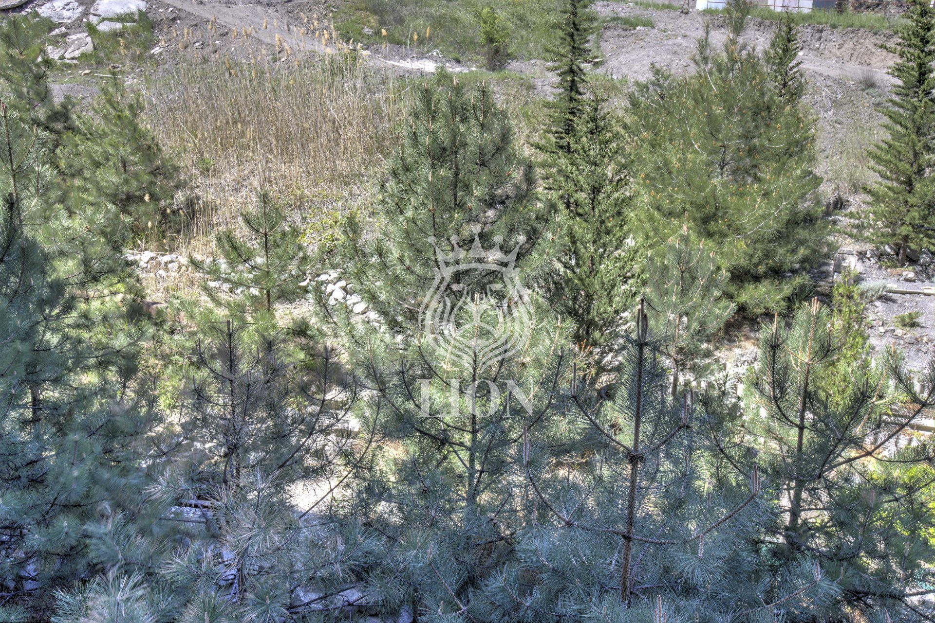 2-к апартаменты 47.6 м² 3/8 эт., мкр. Дельфин — фото 20