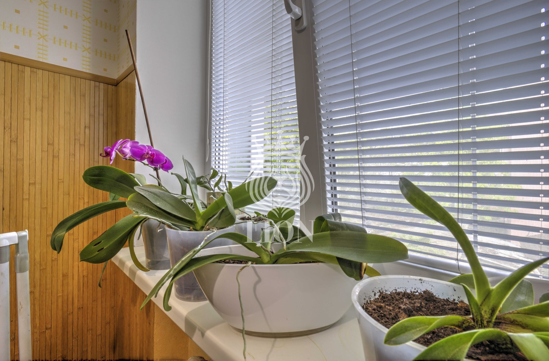 2-к квартира 46.4 м² 2/3 эт., Спортивный пер. — фото 6