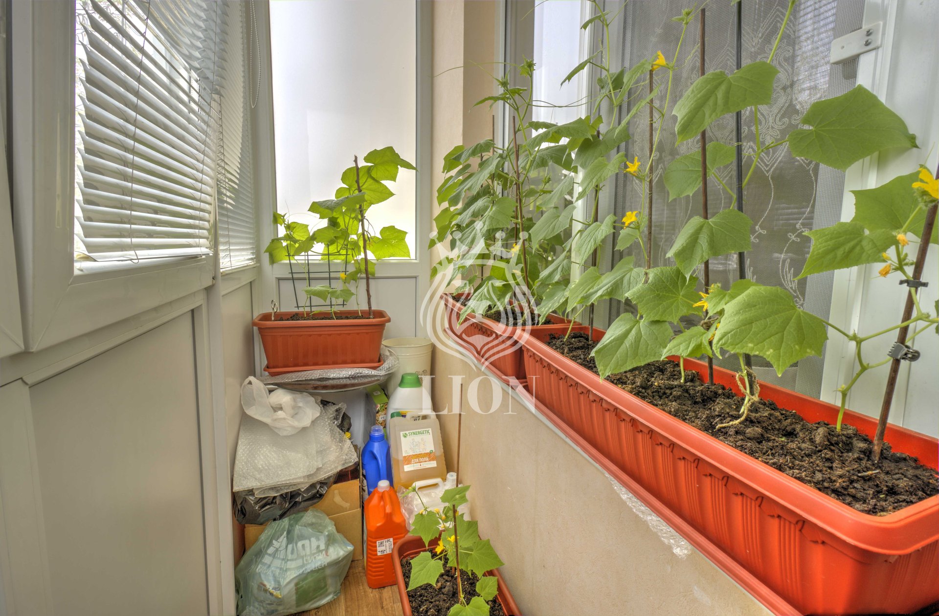 2-к квартира 46.4 м² 2/3 эт., Спортивный пер. — фото 17