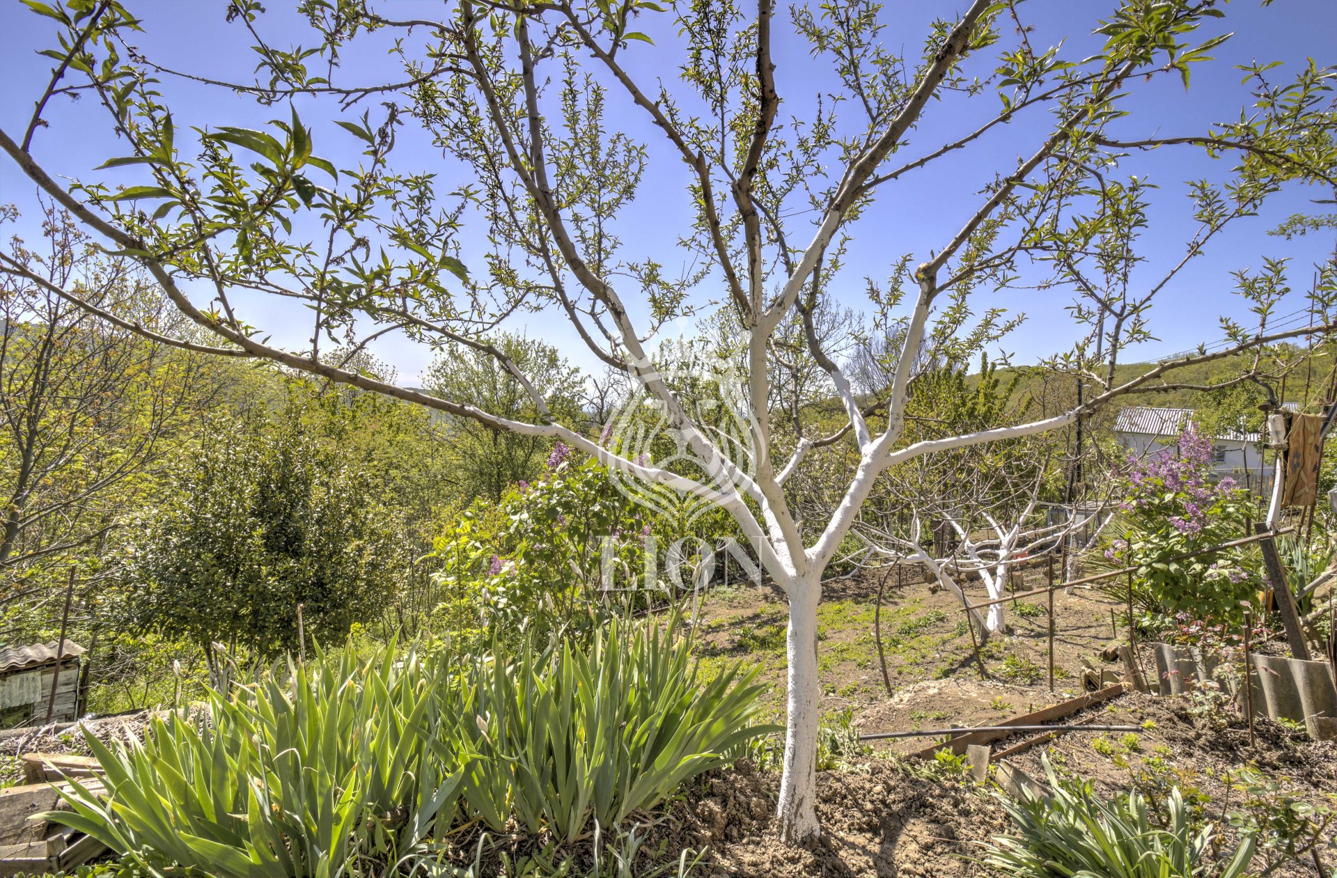 2-к квартира 34.4 м² 1/1 эт., Ленина — фото 16