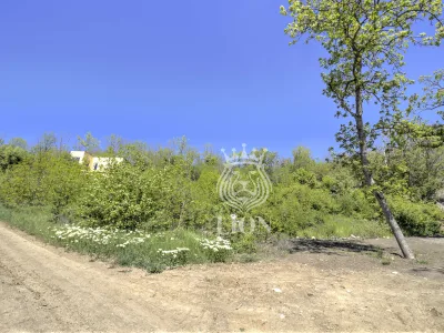 Участок 10.02 сот. ИЖС, Лаванда