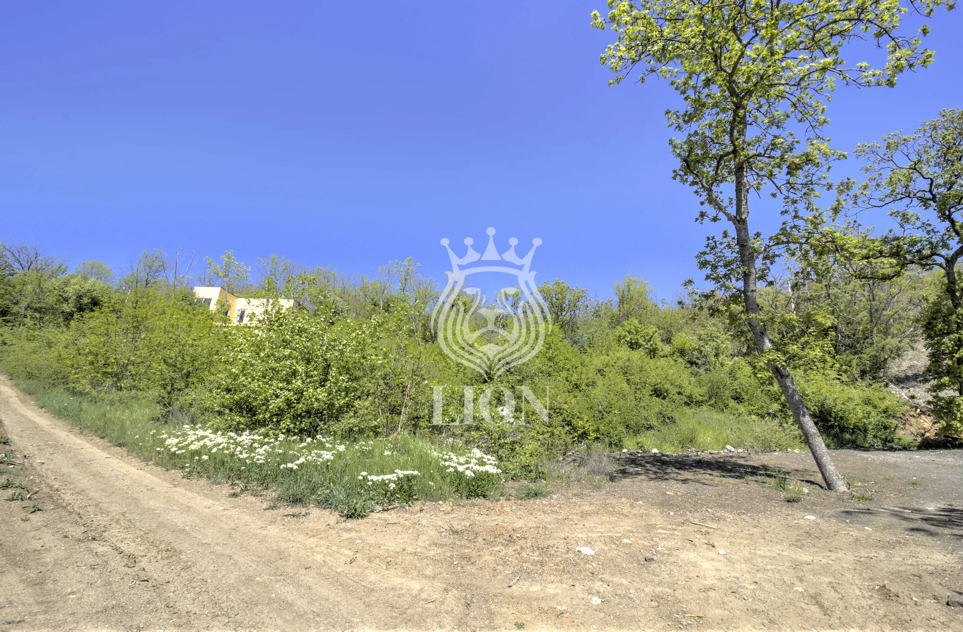 Участок 10.02 сот. ИЖС, Лаванда