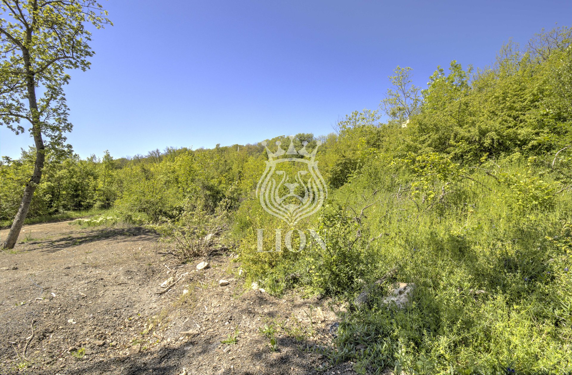 Участок 10.02 сот. ИЖС, Лаванда — фото 2