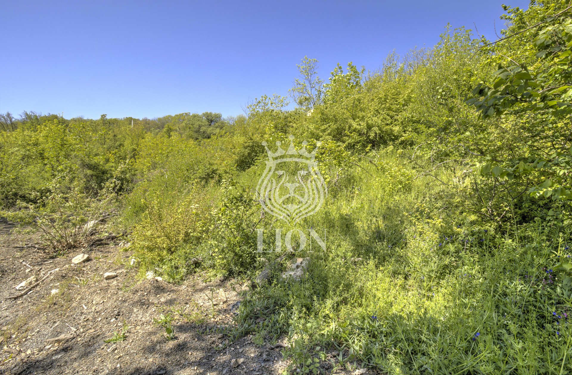 Участок 10.02 сот. ИЖС, Лаванда — фото 3