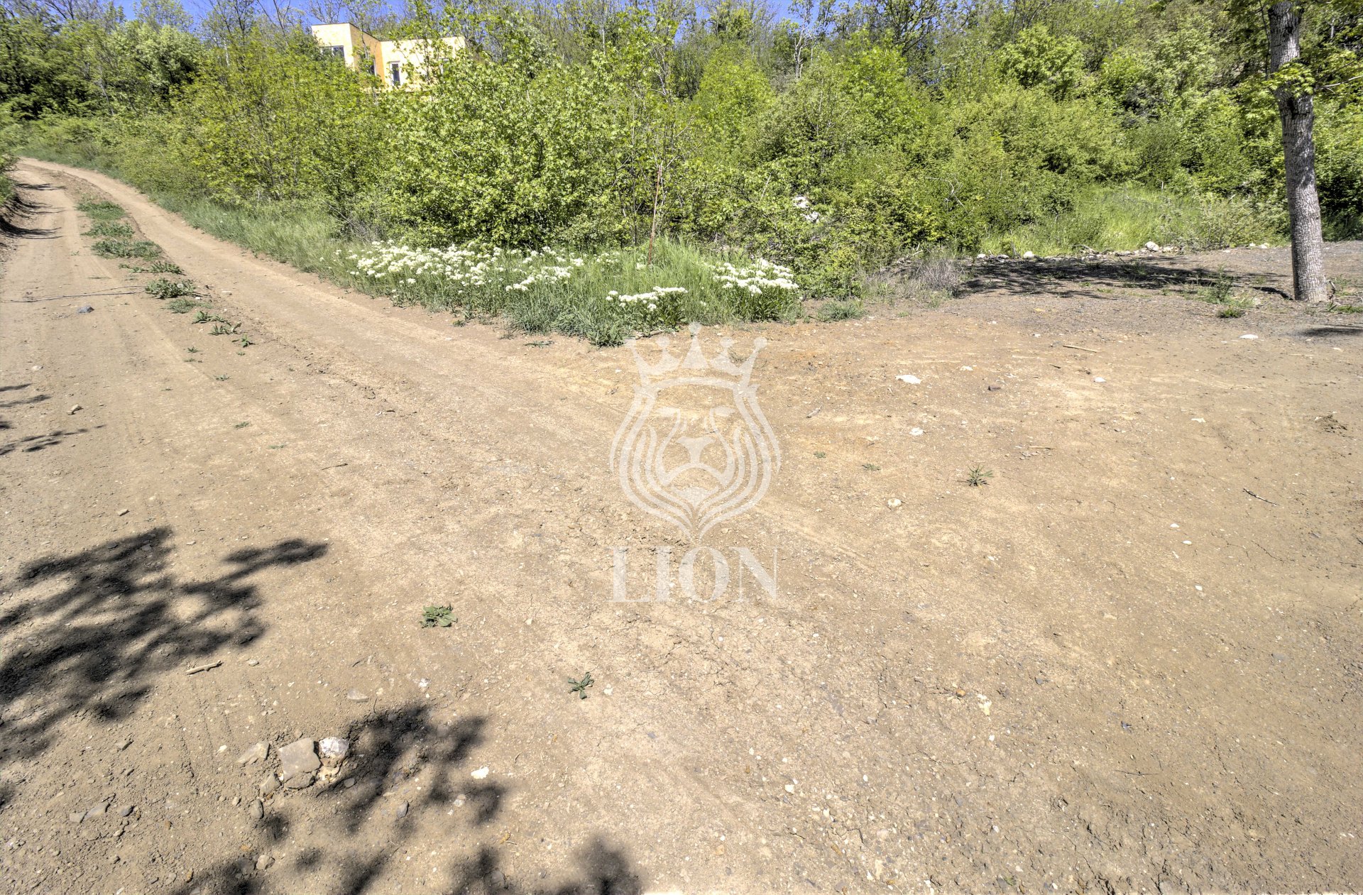 Участок 10.02 сот. ИЖС, Лаванда — фото 4