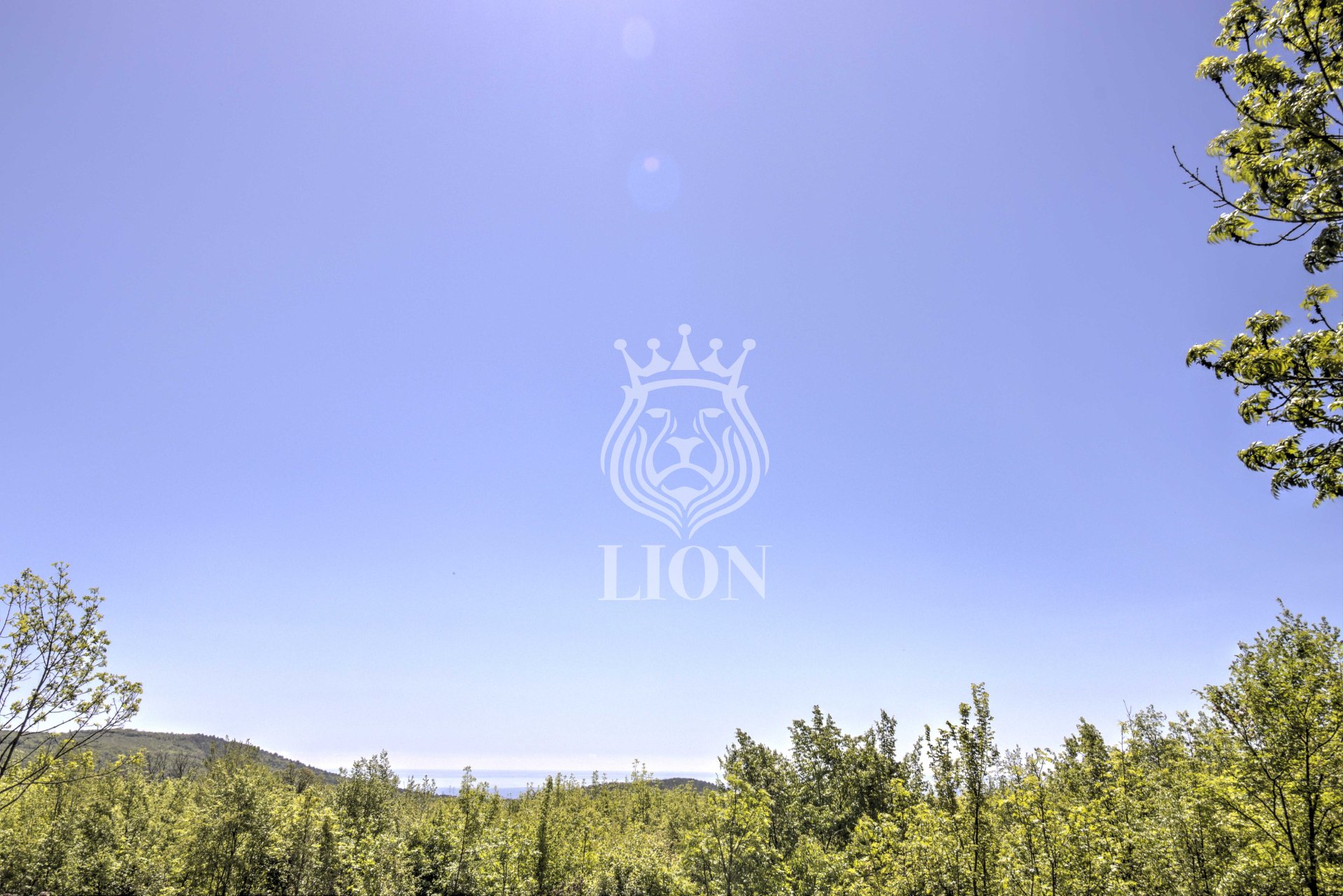 Участок 10.02 сот. ИЖС, Лаванда — фото 6