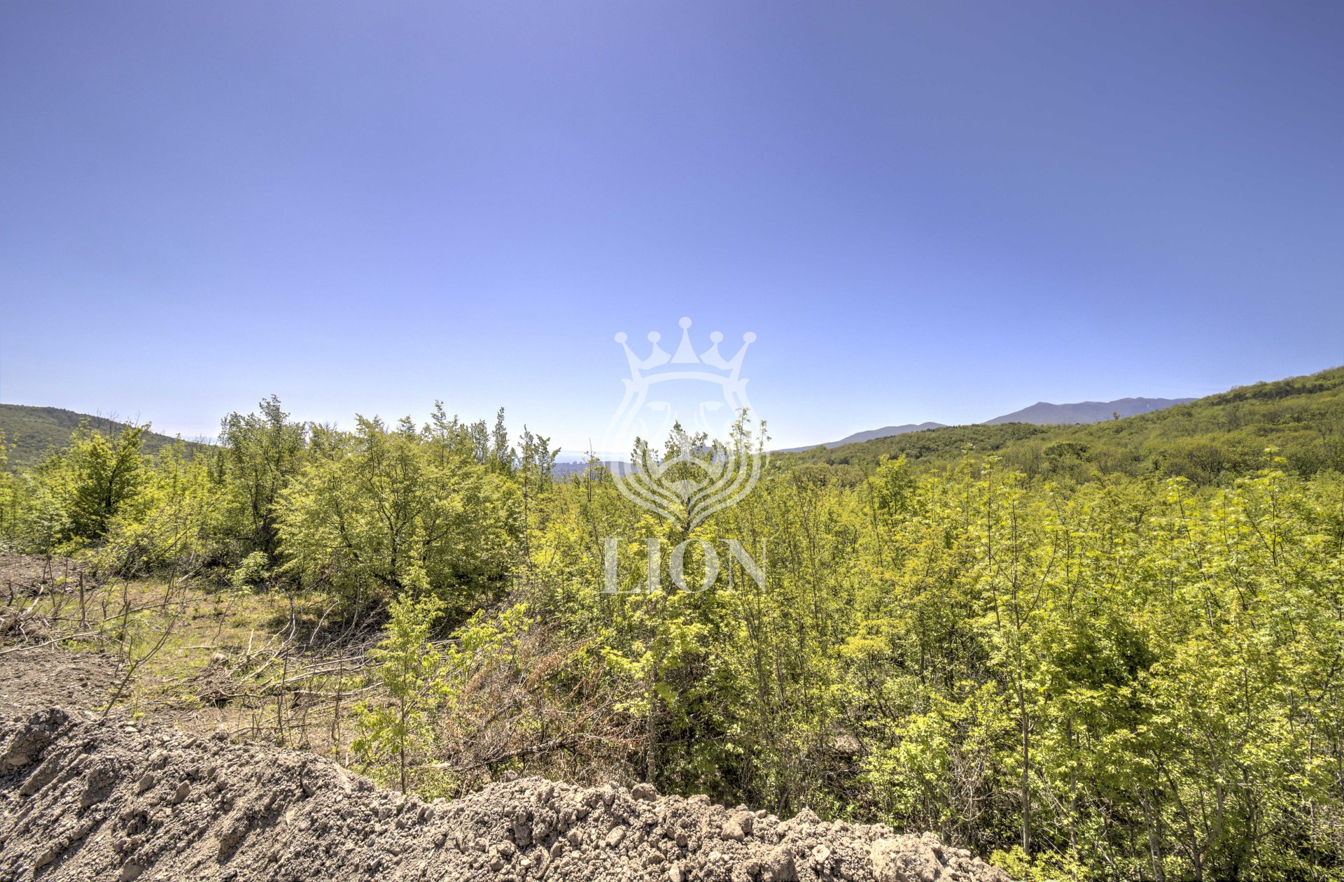 Участок 10.02 сот. ИЖС, Лаванда — фото 9