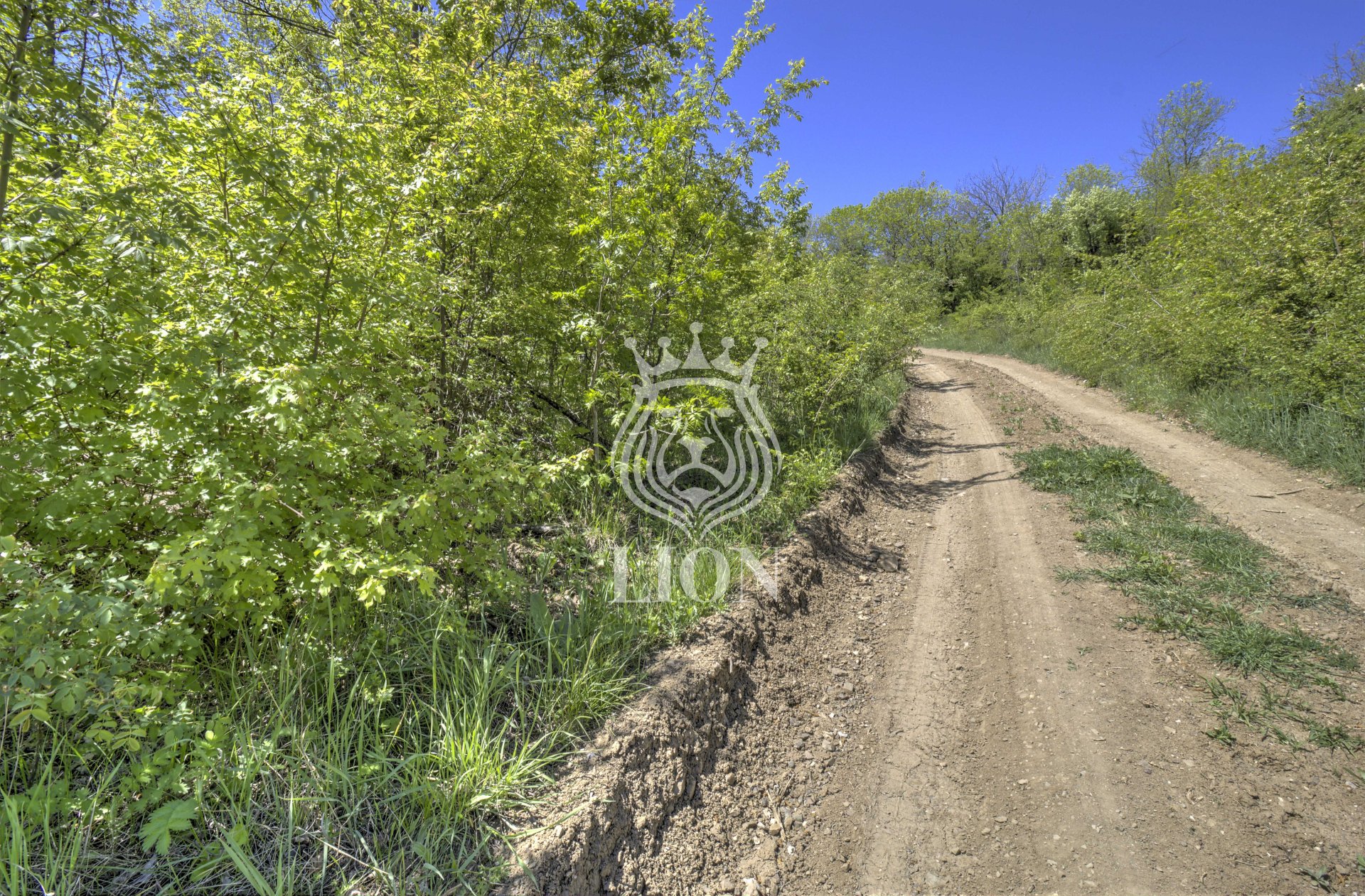 Участок 10.02 сот. ИЖС, Лаванда — фото 10