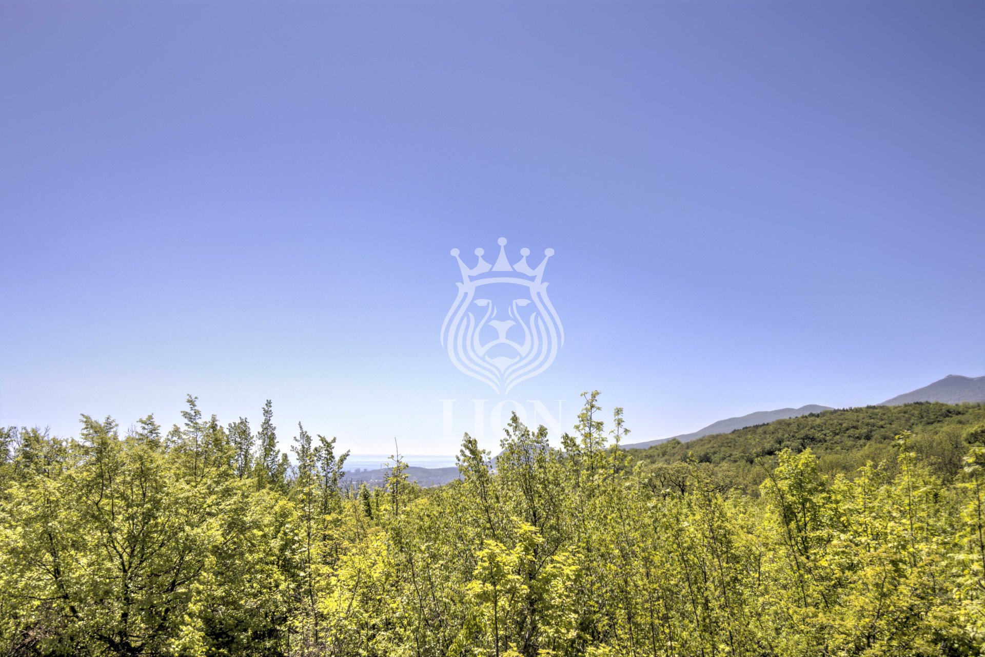 Участок 10.02 сот. ИЖС, Лаванда — фото 12