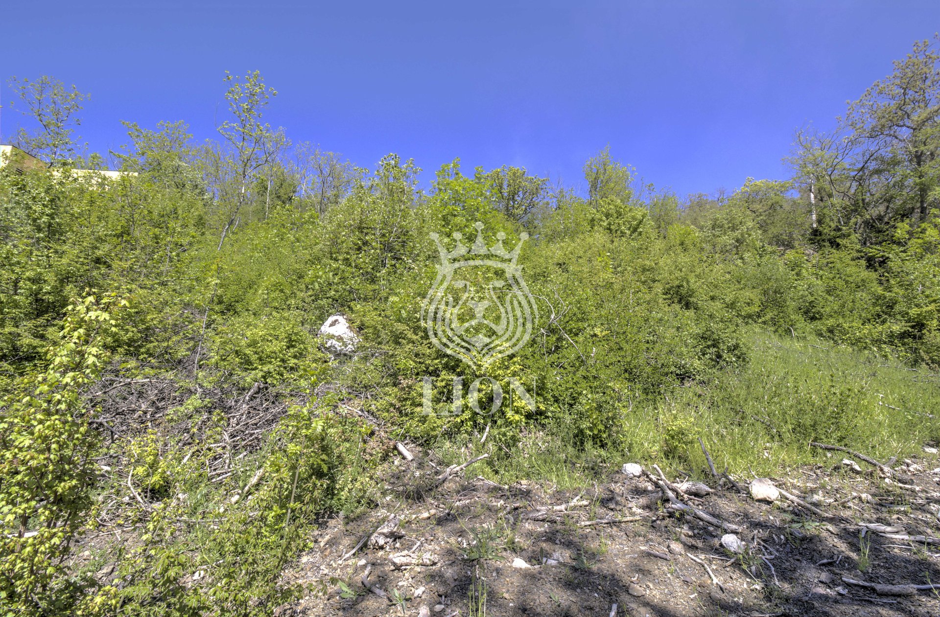 Участок 10.02 сот. ИЖС, Лаванда — фото 14