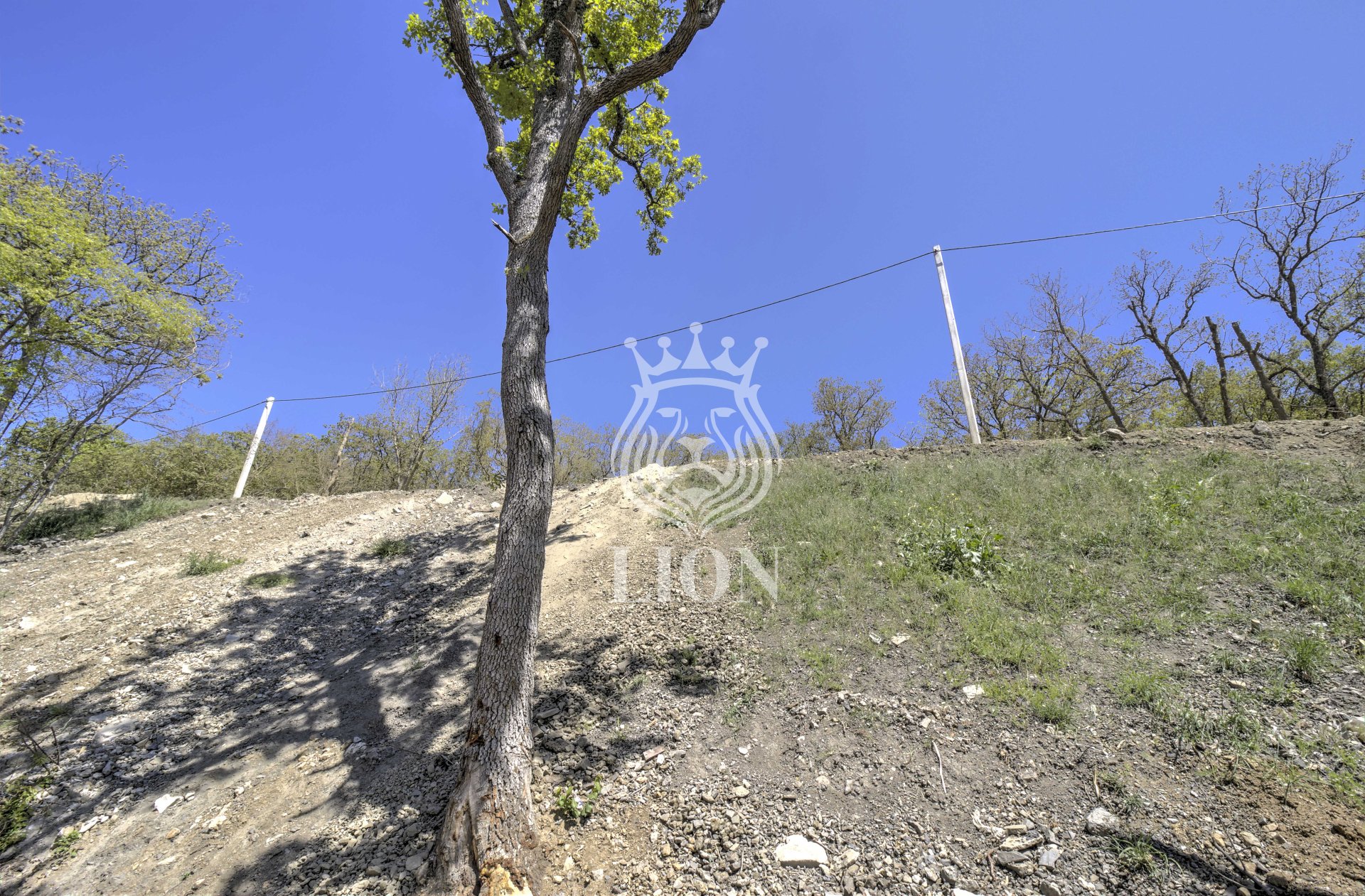 Участок 10.02 сот. ИЖС, Лаванда — фото 15