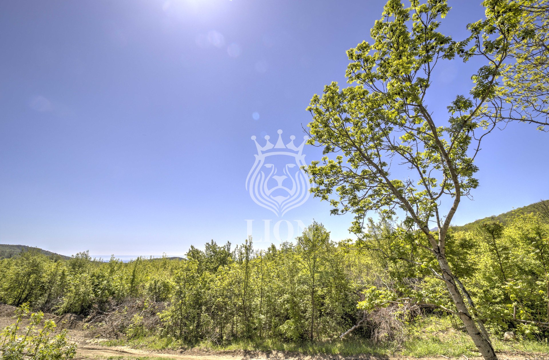 Участок 10.02 сот. ИЖС, Лаванда — фото 17