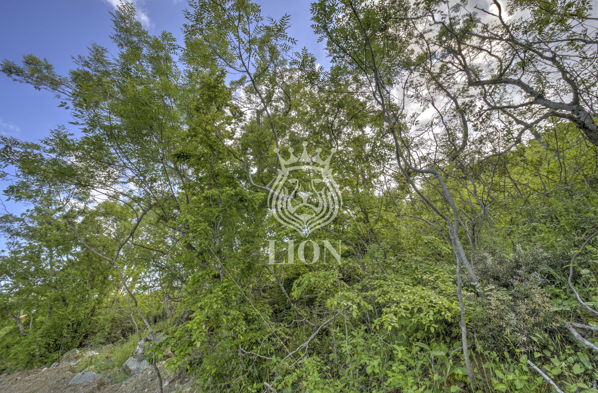 Участок 9 сот. ИЖС, Малый Маяк — фото 8