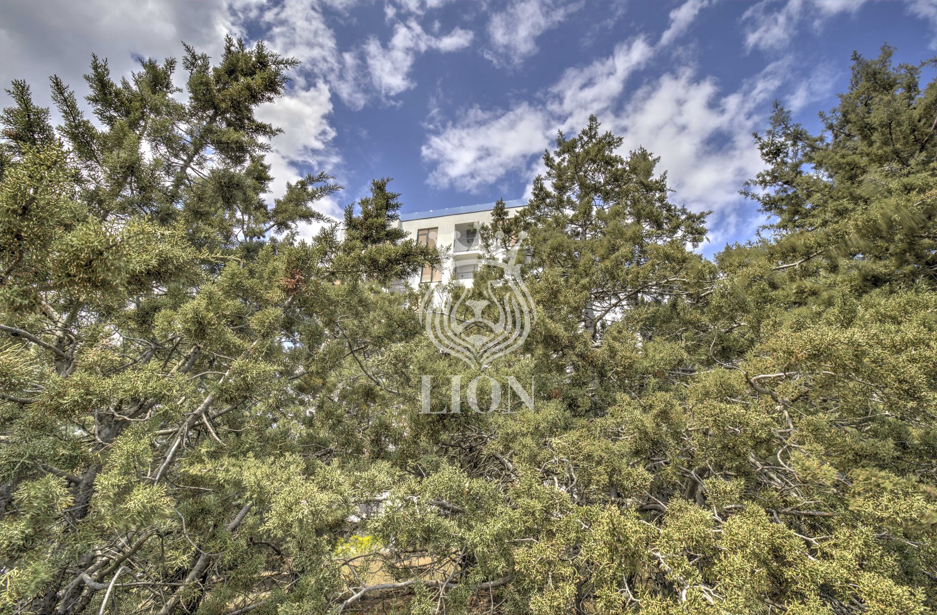 1-к квартира 53.02 м² 7/17 эт., Пограничный пер. — фото 69