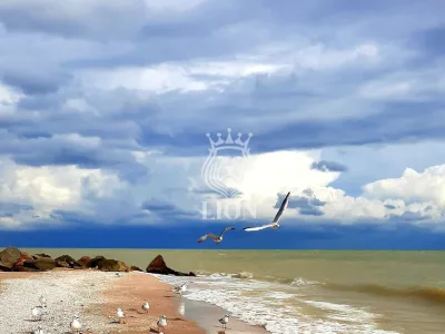 Коммерческая 520 м², Степановка Первая