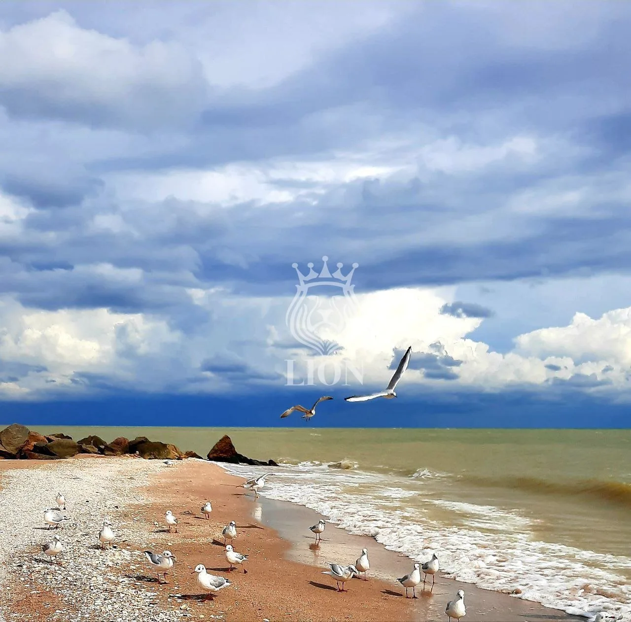 Коммерческая 520 м², Степановка Первая