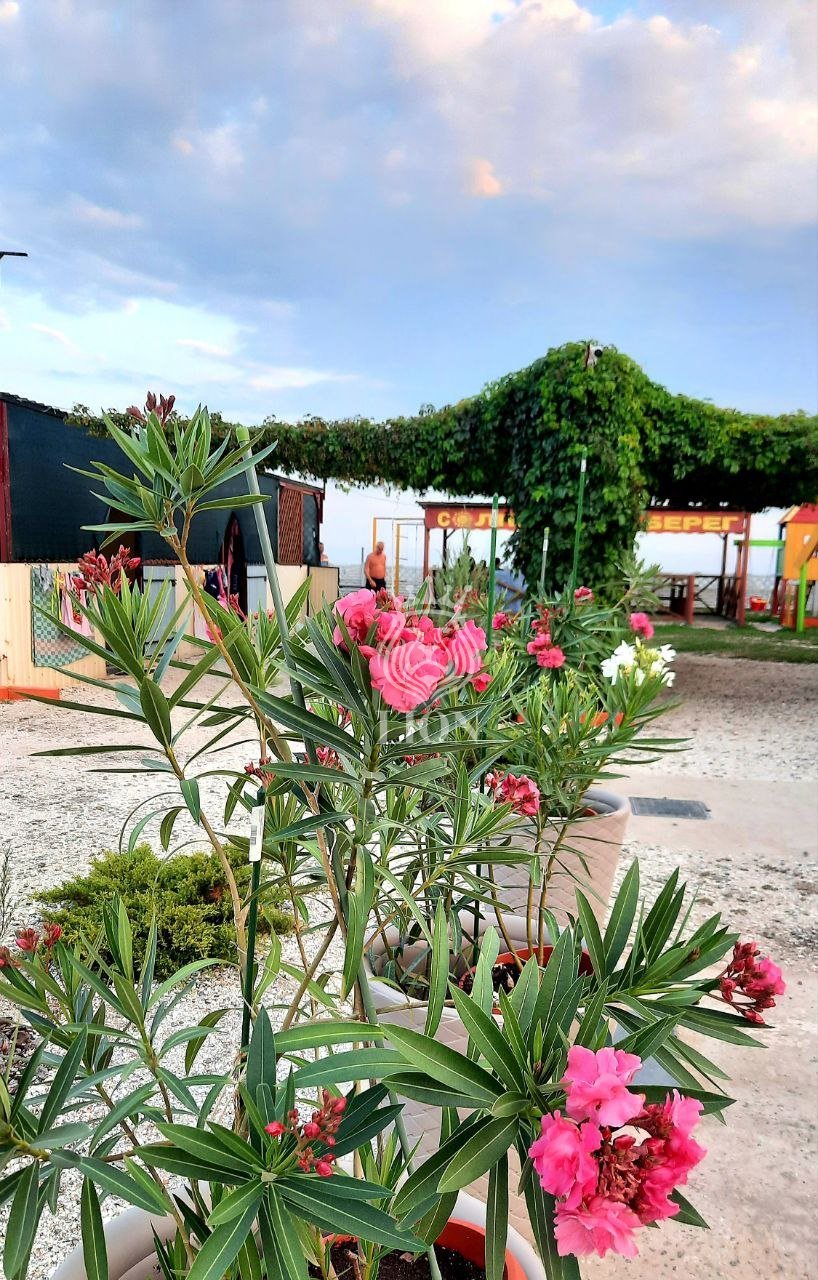 Коммерческая 520 м², Степановка Первая — фото 13