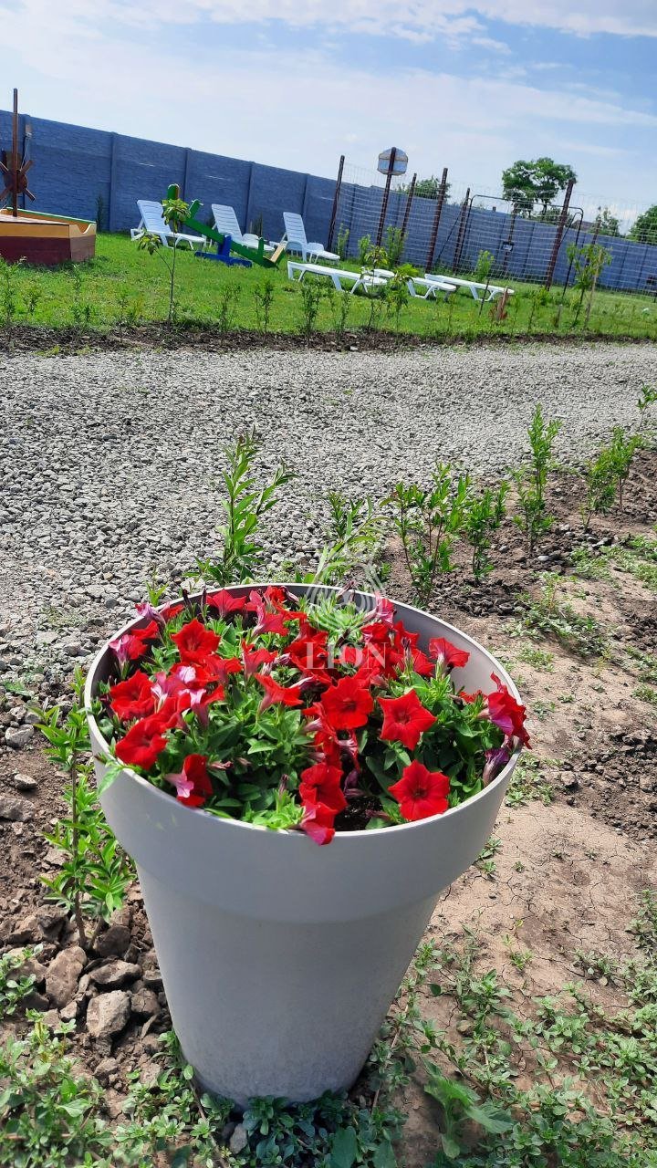 Коммерческая 520 м², Степановка Первая — фото 48