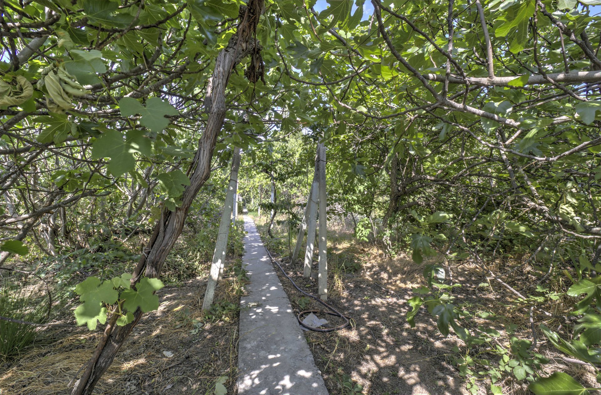 Дом 70 м² на 6.3 сот., Нижняя Кутузовка — фото 23