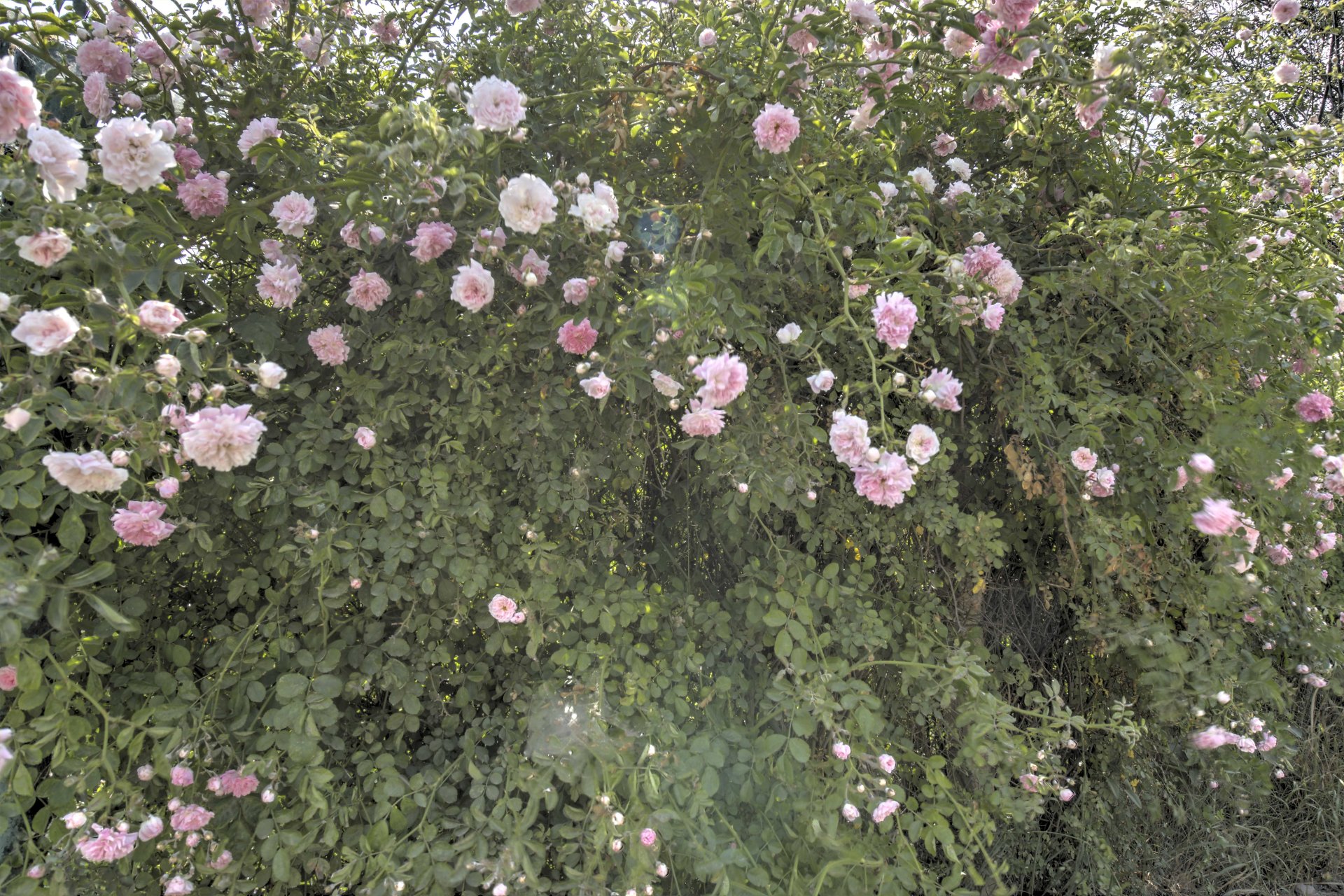 Дом 70 м² на 6.3 сот., Нижняя Кутузовка — фото 37