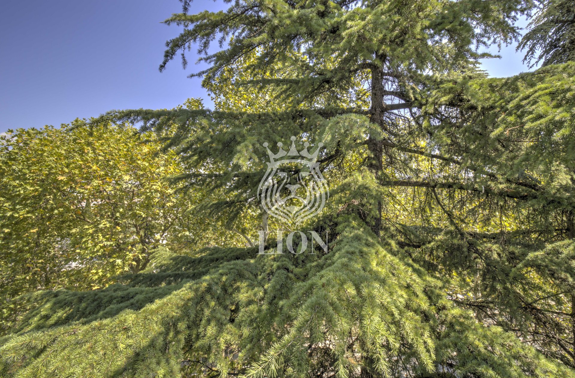 1-к квартира 30 м² 4/5 эт., Ленина — фото 18