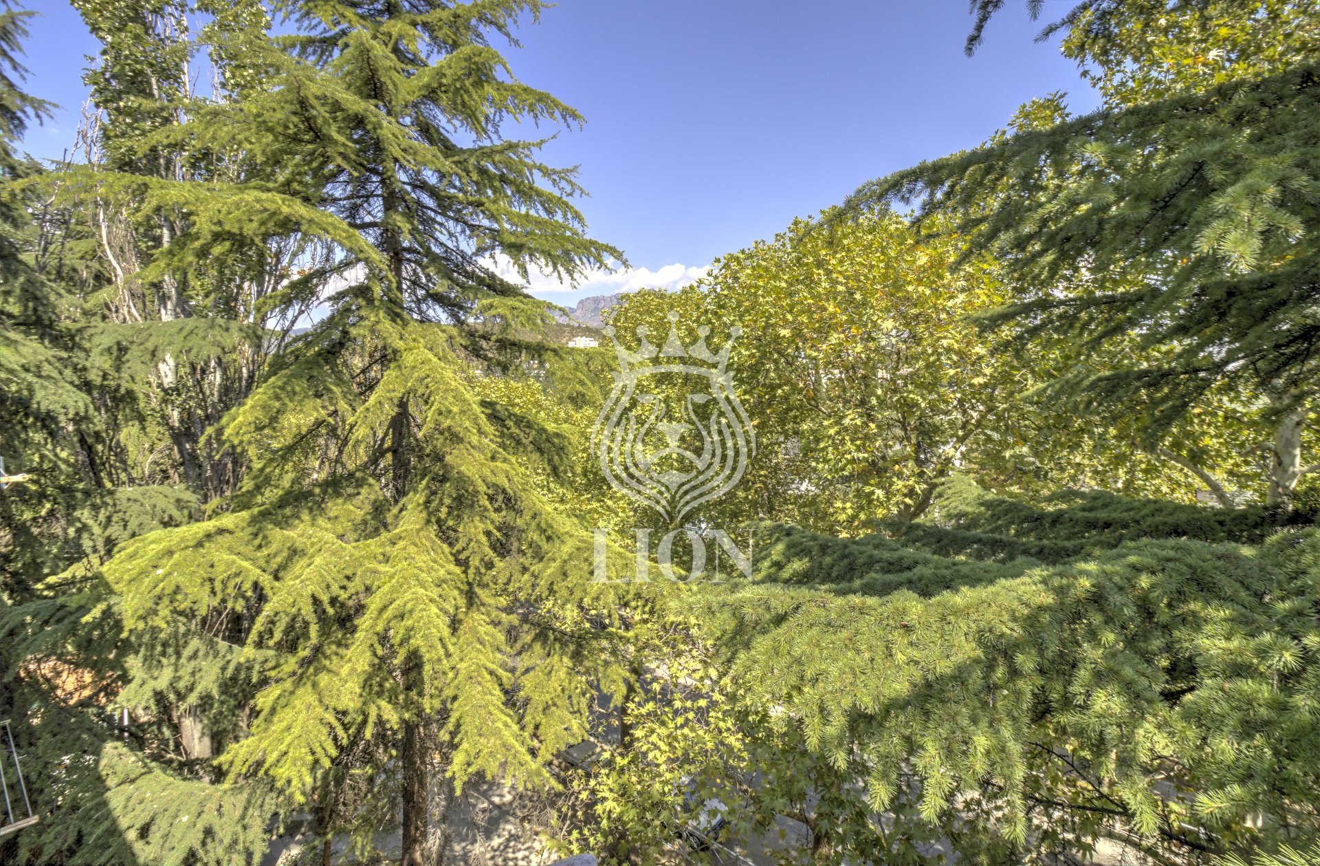 1-к квартира 30 м² 4/5 эт., Ленина — фото 19