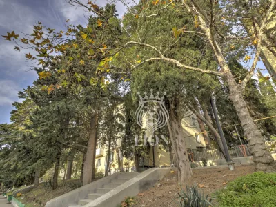 1-к квартира 24.5 м² 2/4 эт., Фрунзенское шоссе — миниатюра 22