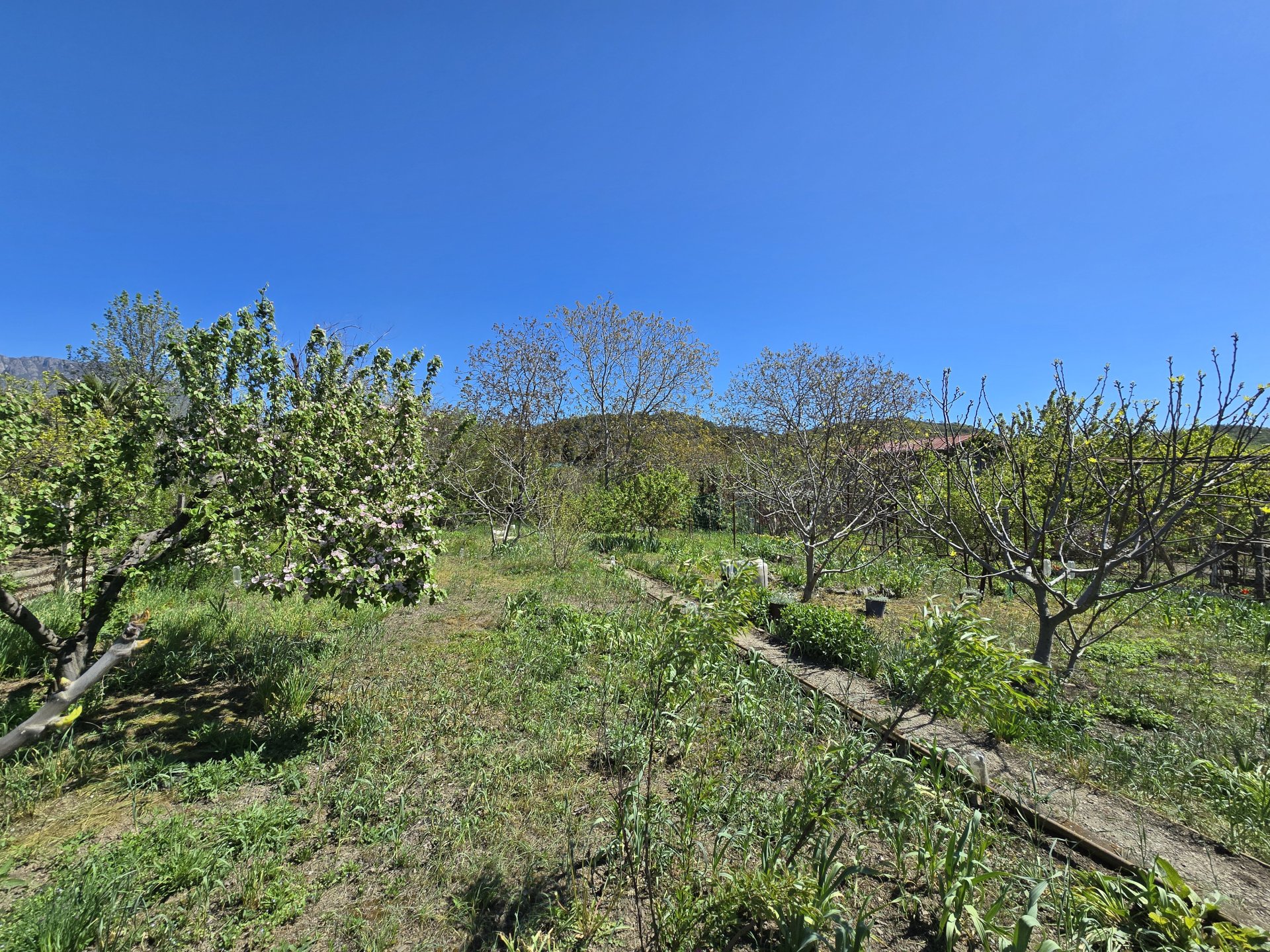 Участок 6 сот. СНТ, Нижняя Кутузовка — фото 3