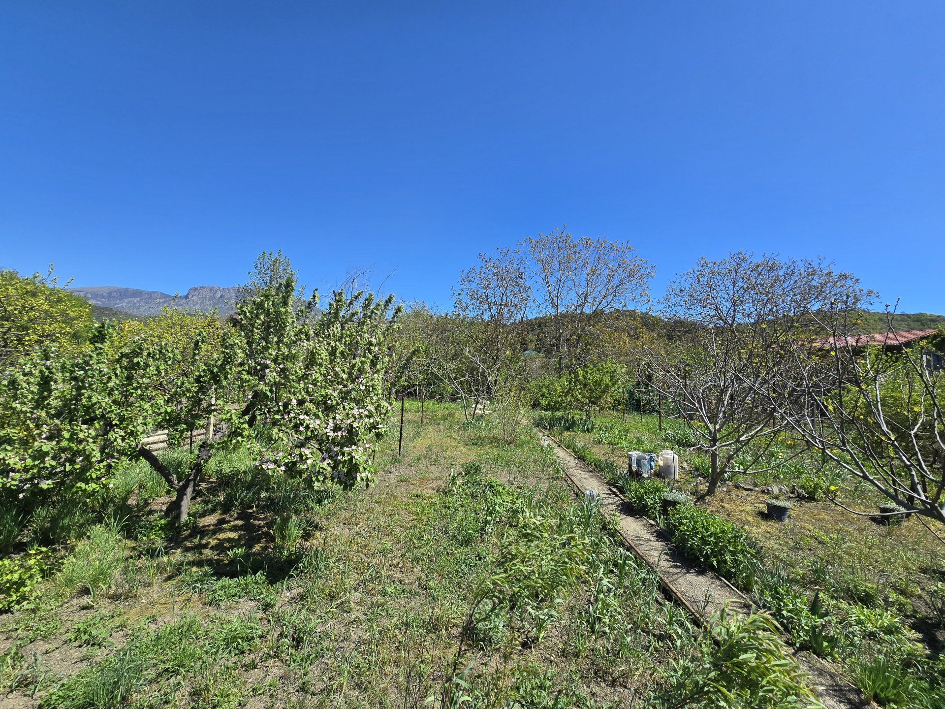 Участок 6 сот. СНТ, Нижняя Кутузовка — фото 7