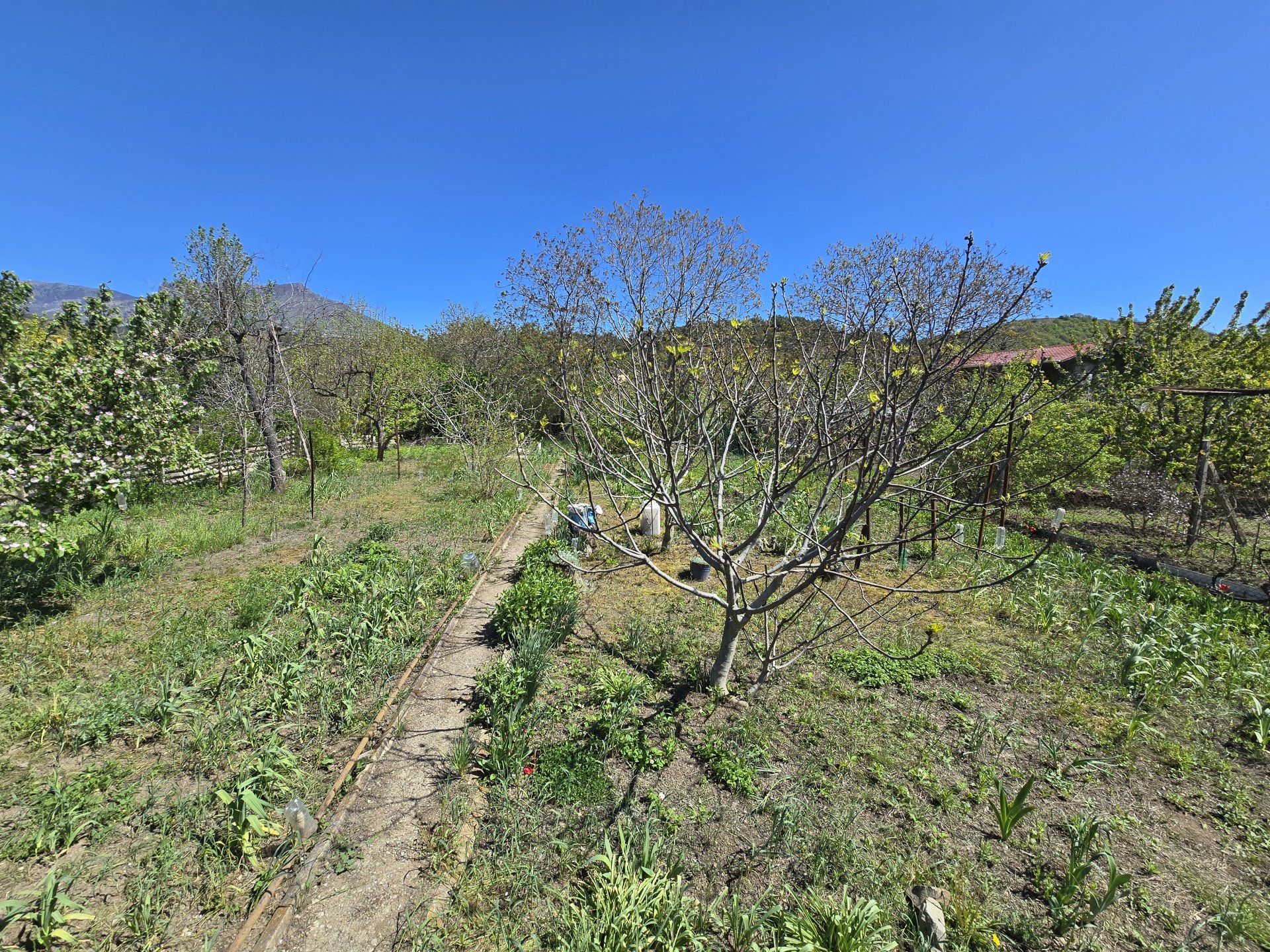 Участок 6 сот. СНТ, Нижняя Кутузовка — фото 8