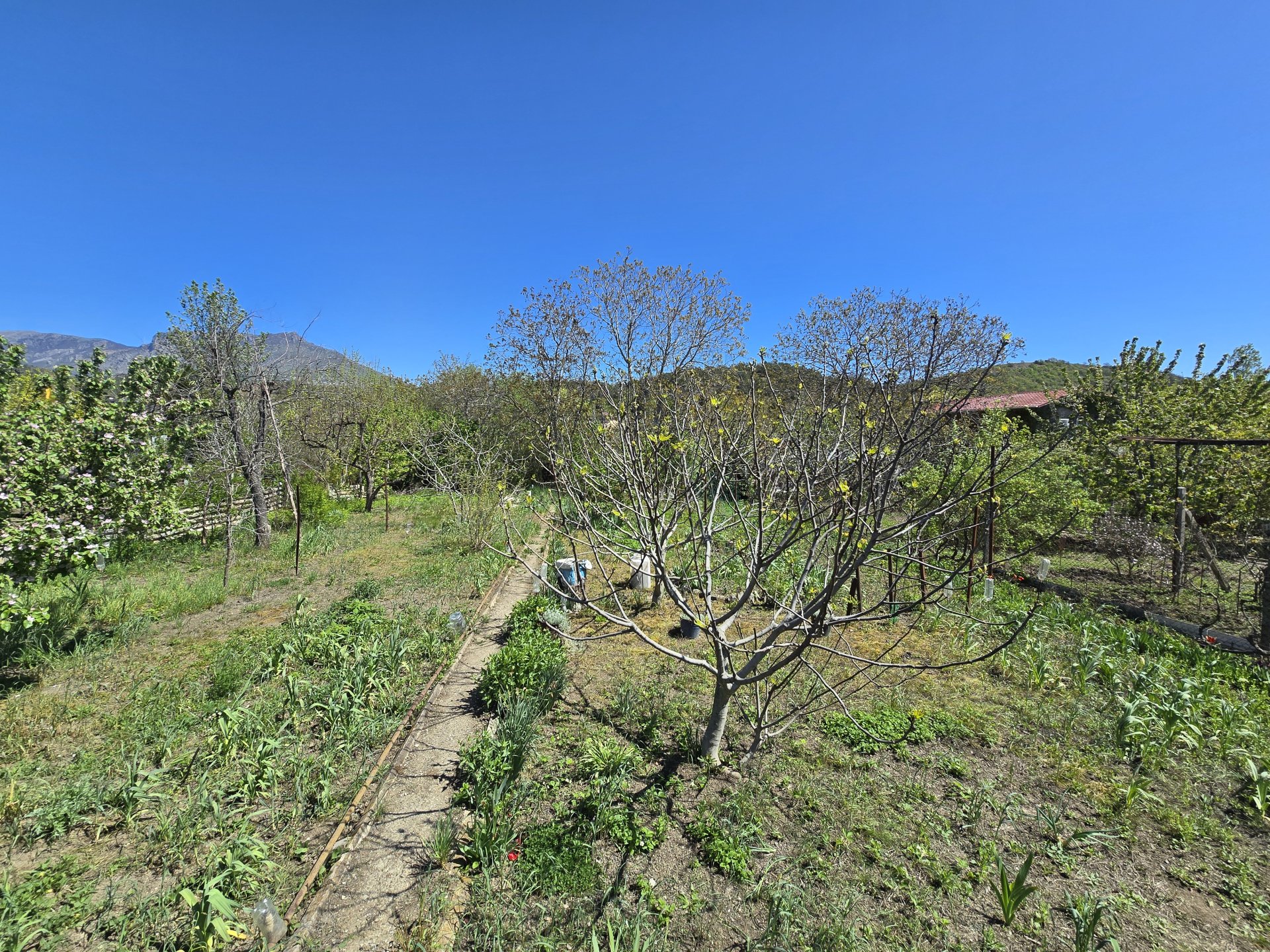 Участок 6 сот. СНТ, Нижняя Кутузовка — фото 9