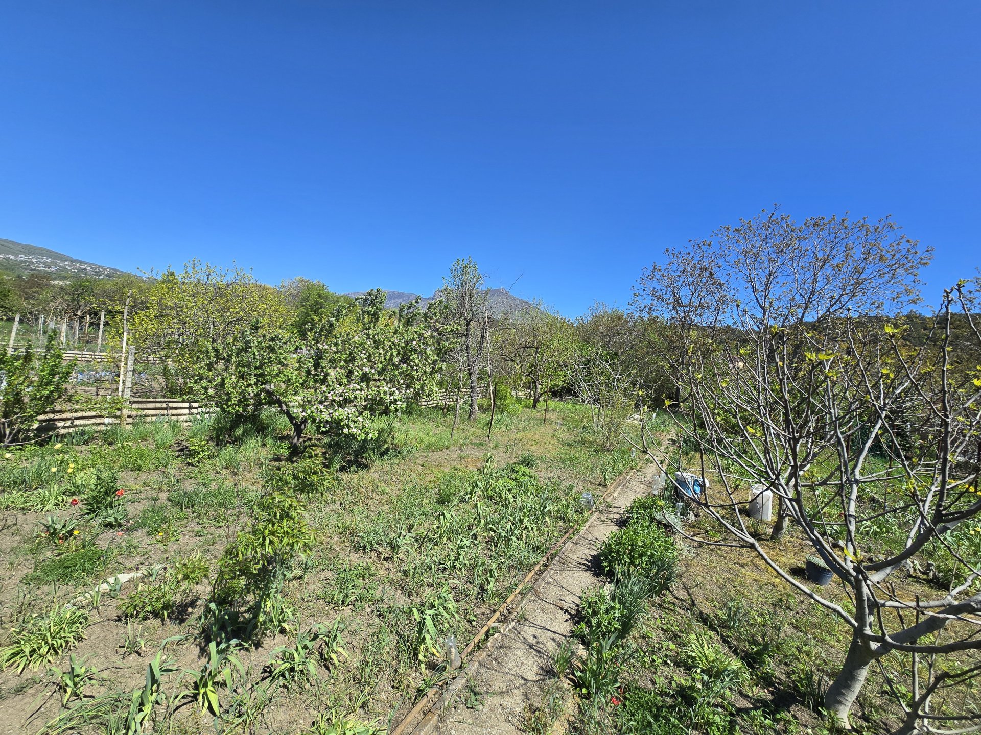 Участок 6 сот. СНТ, Нижняя Кутузовка — фото 10