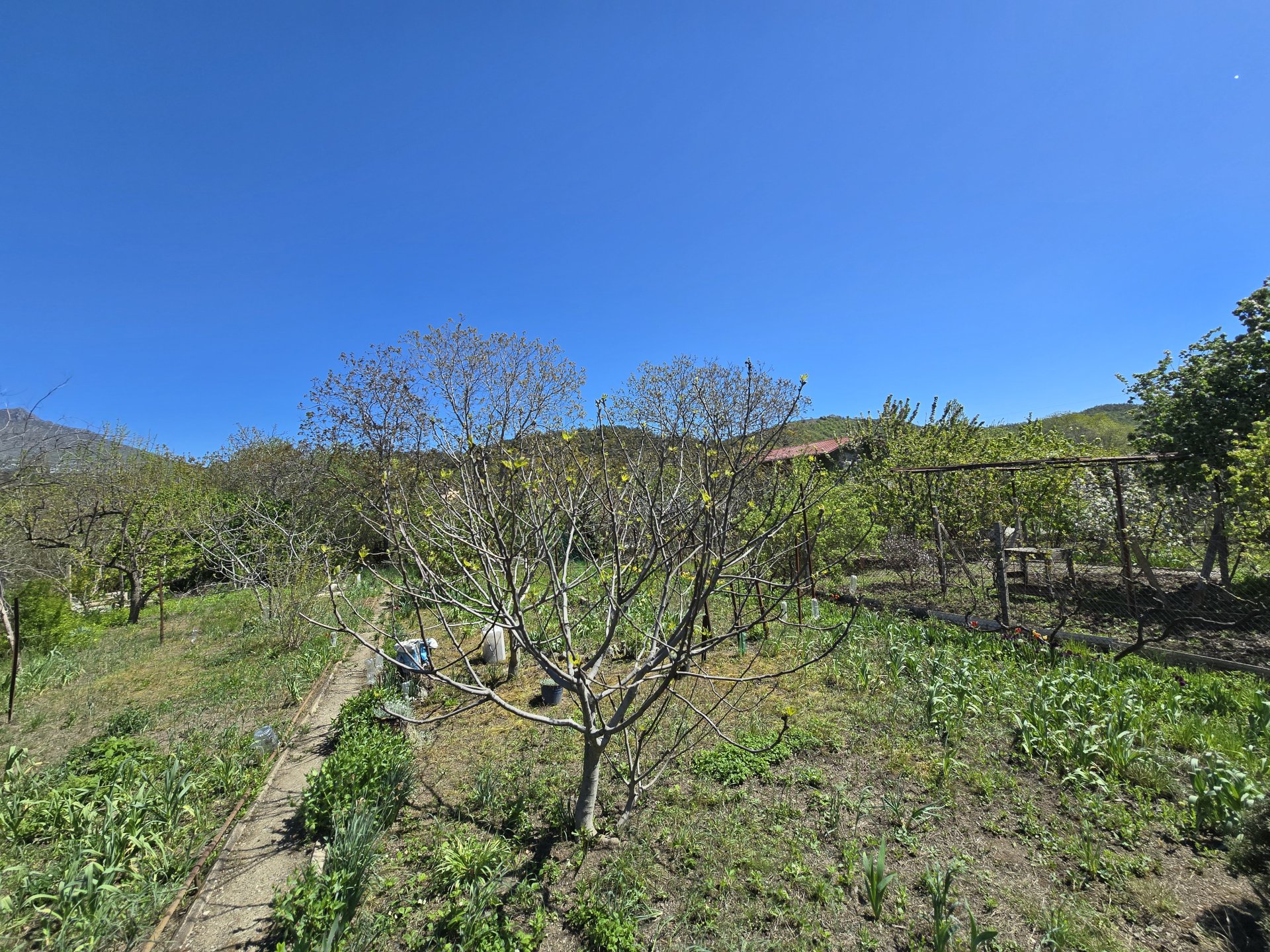 Участок 6 сот. СНТ, Нижняя Кутузовка — фото 11