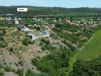 Участок 18.59 сот. СНТ, Нижняя Кутузовка — миниатюра 3