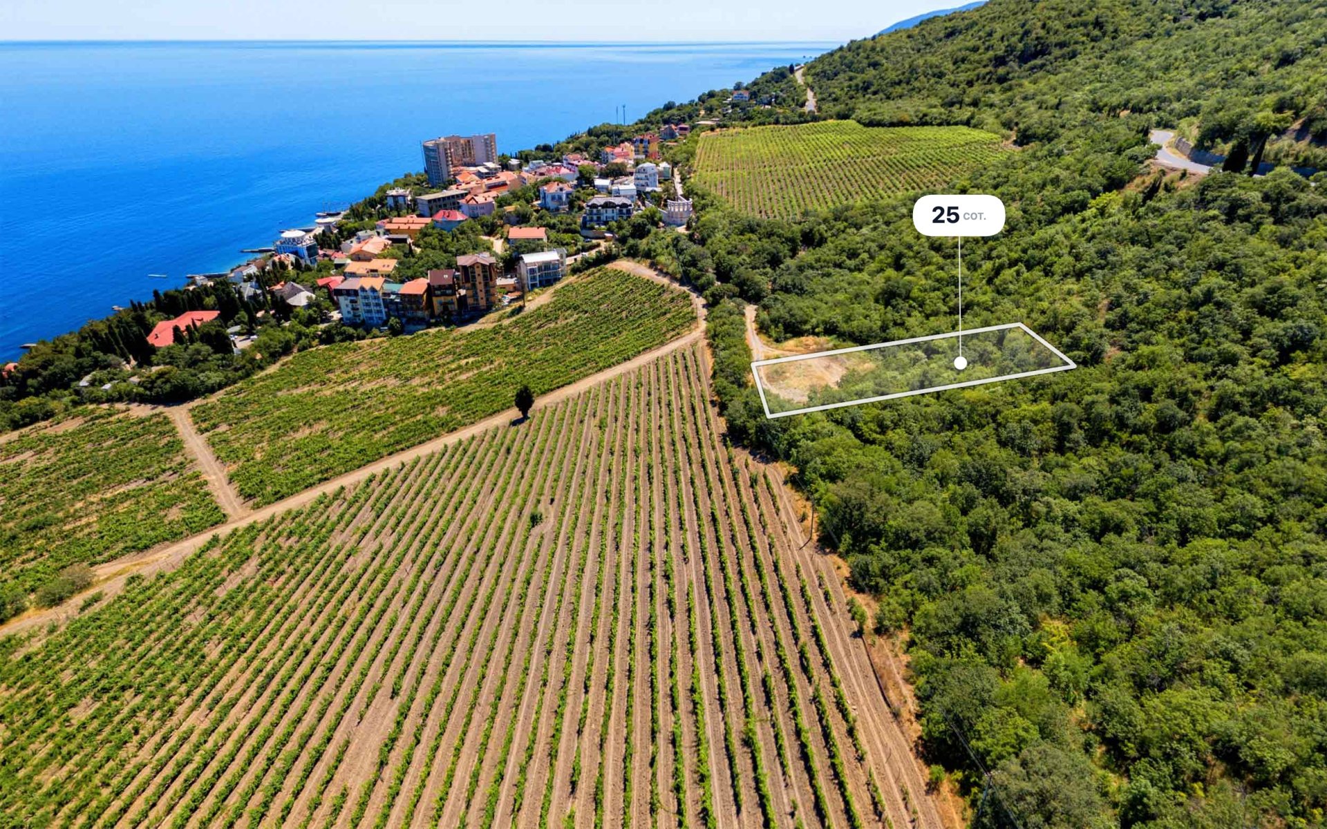 Участок 25 сот. Среднеэтажная жилая застройка, Лазурное — фото 2