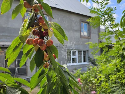 Дом 198.2 м² на 15 сот., Заречное — миниатюра 2