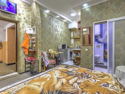 1-к квартира 20.2 м² 1/4 эт., Таврическая — миниатюра 14