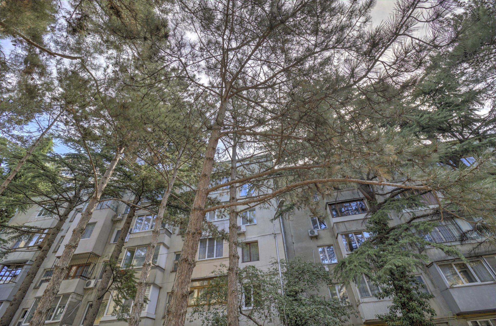 3-к квартира 68.1 м² 4/5 эт., пер. Иванова — фото 30