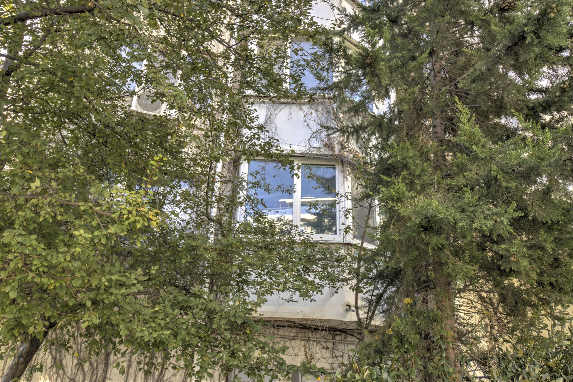 Квартира 34.2 м² 6/9 эт., Богдана Хмельницкого — фото 19