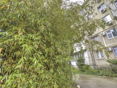 2-к квартира 56.1 м² 5/5 эт., Заречная — миниатюра 26